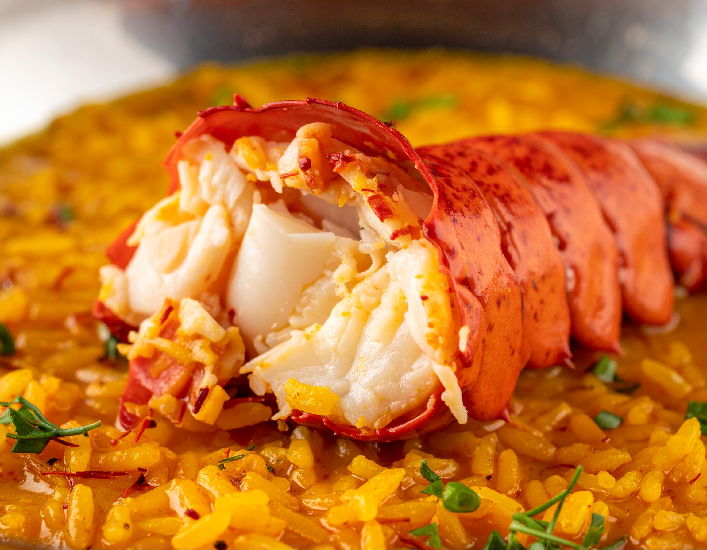 Macro de la cola del bogavante sobre el arroz meloso dorado
