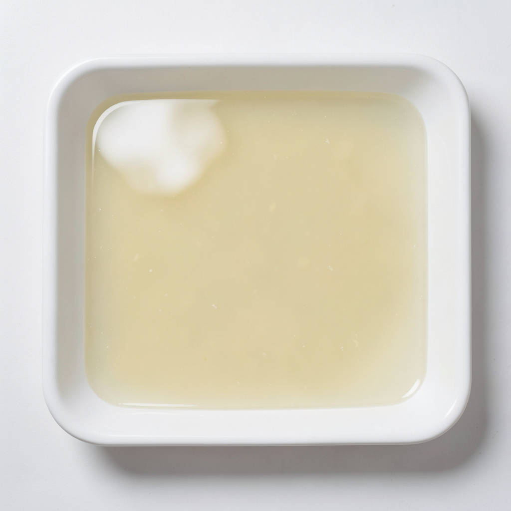 Lámina de agar de caldo de parmesano cuajada en bandeja