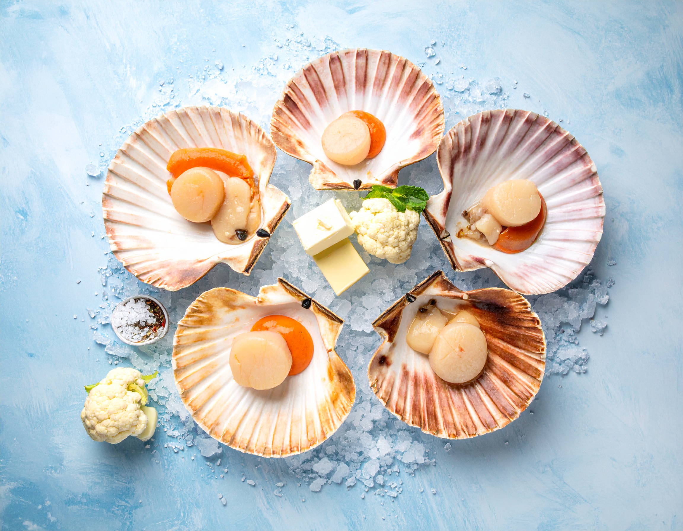 Mise en place: vieiras frescas en conchas abiertas sobre hielo con dados de mantequilla, ramillete de coliflor y flor de sal — fondo azul