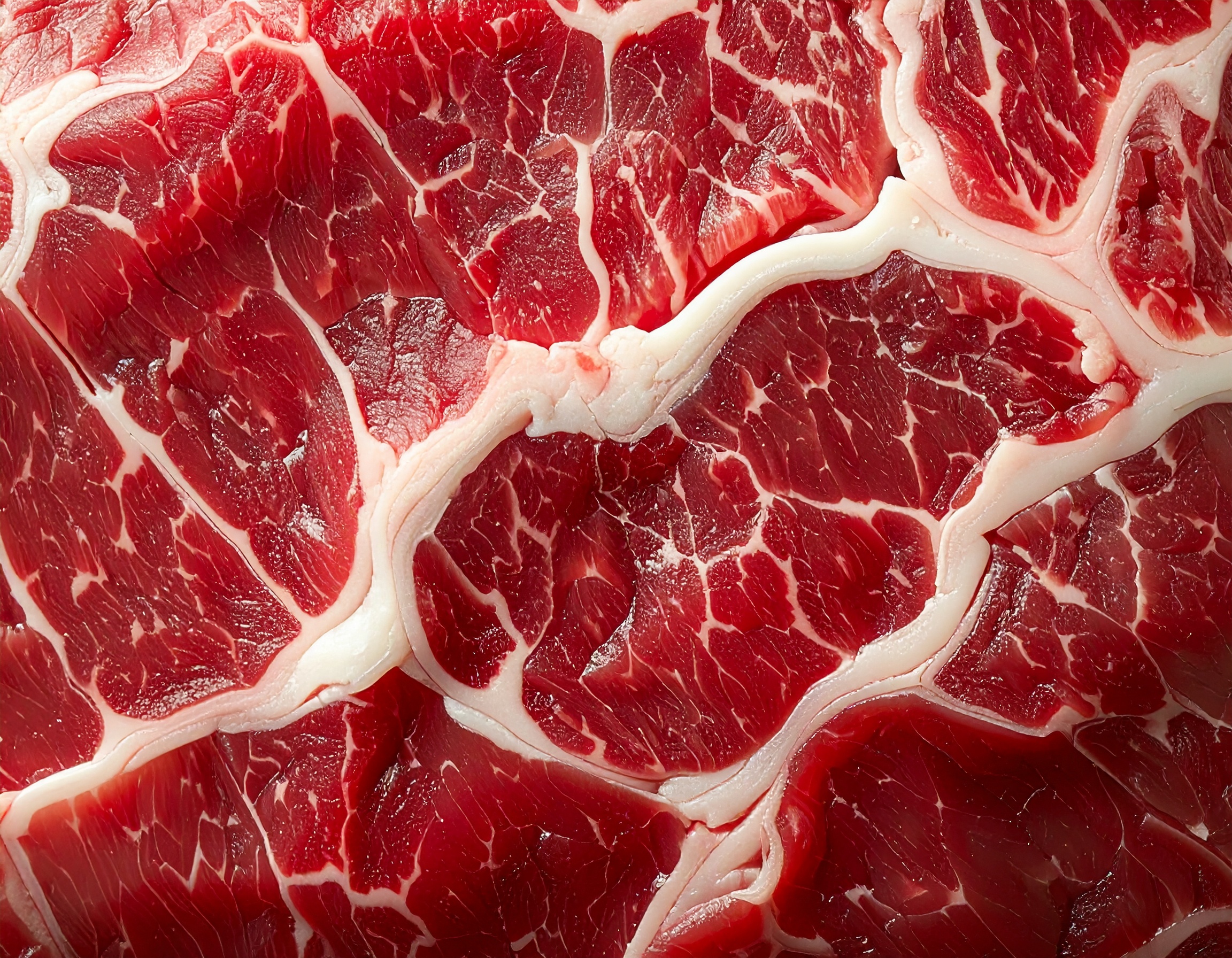 Macro del marmoleado BMS 12 del wagyu A5, venas de grasa blanca intramuscular sobre carne roja